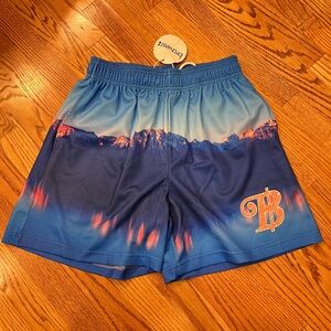 NWT Bravest Studios Geneva Shorts Mountain Landscape Blue Mens Shorts Streetwear